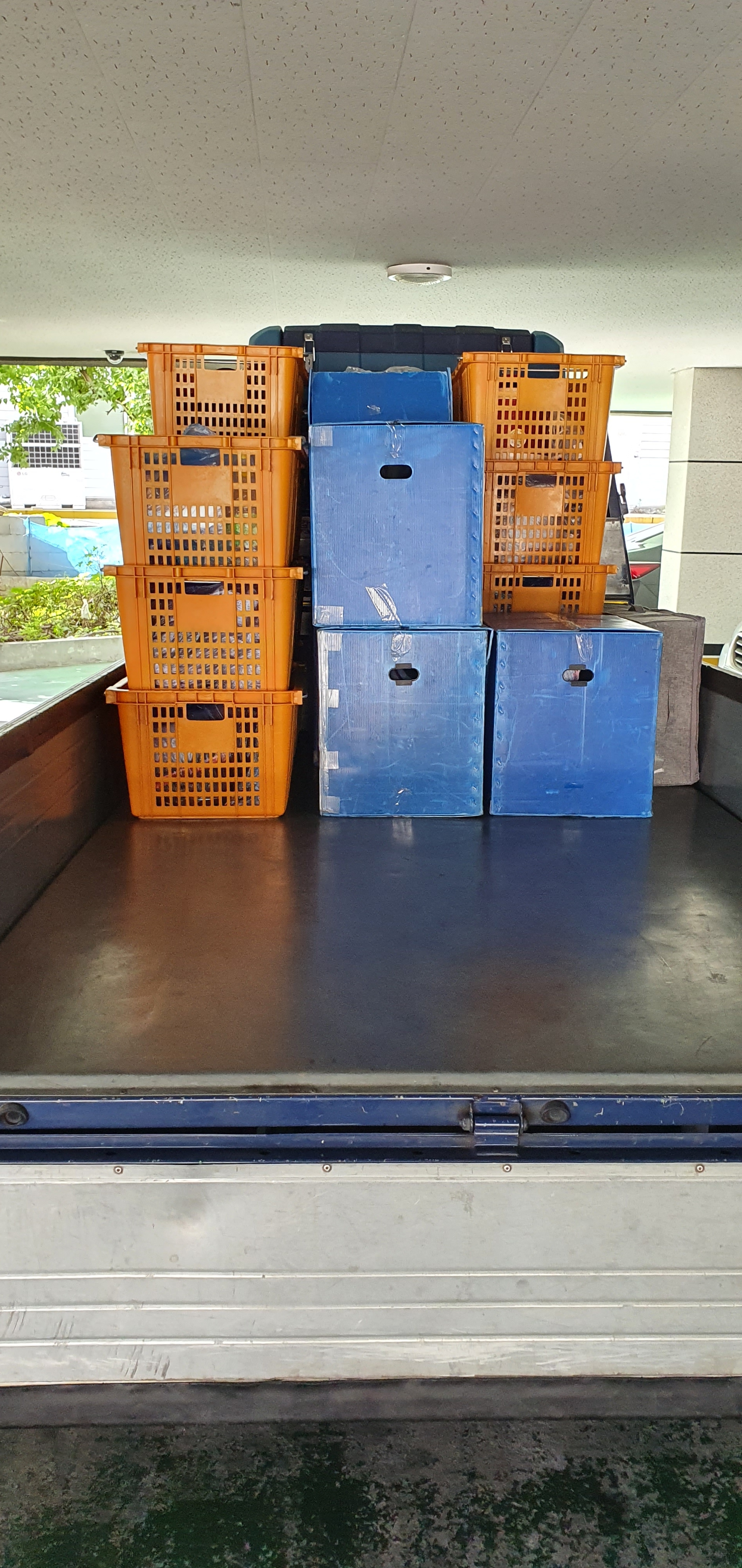 청년이사119 대표 이미지