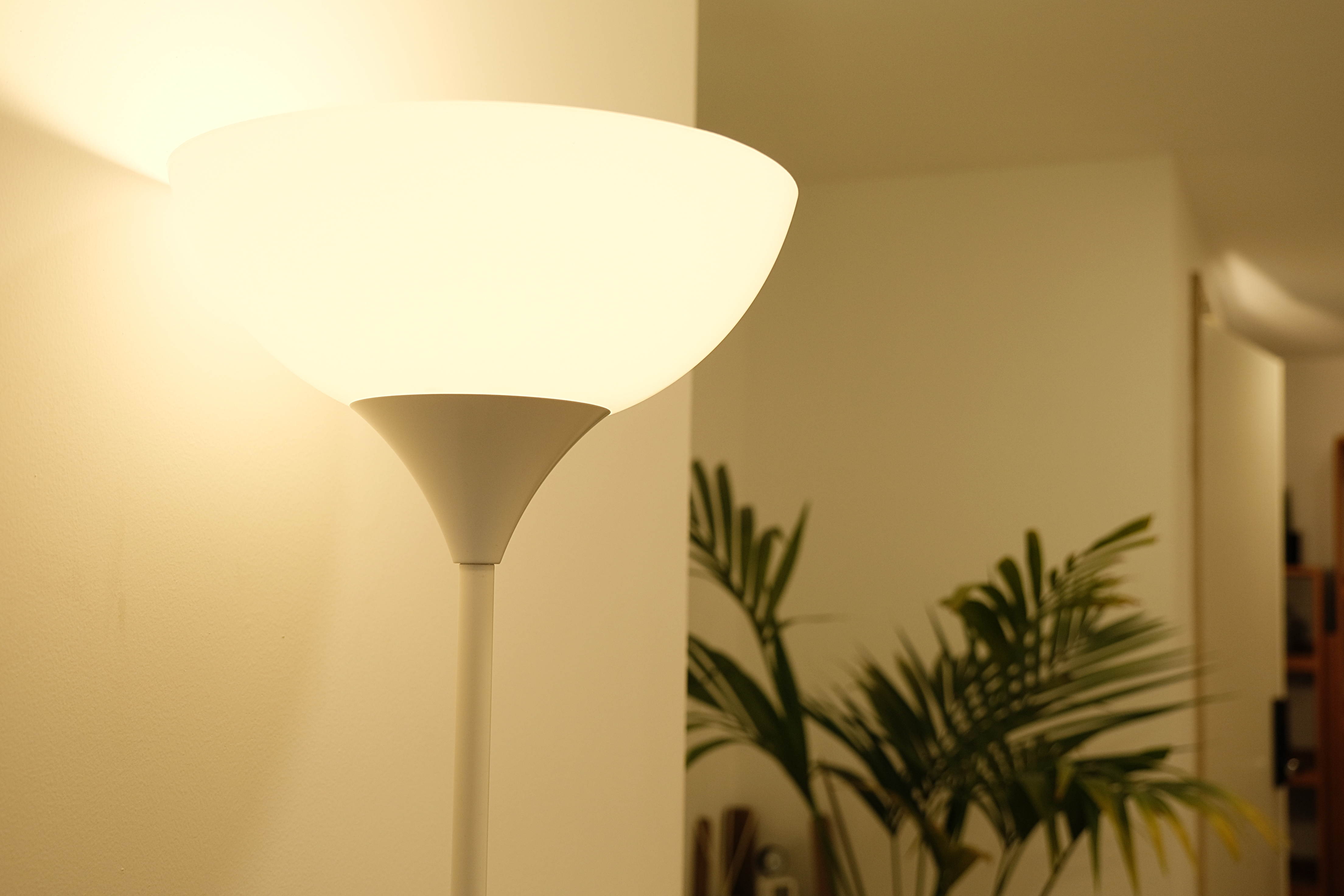 4번째 스튜디오 사진