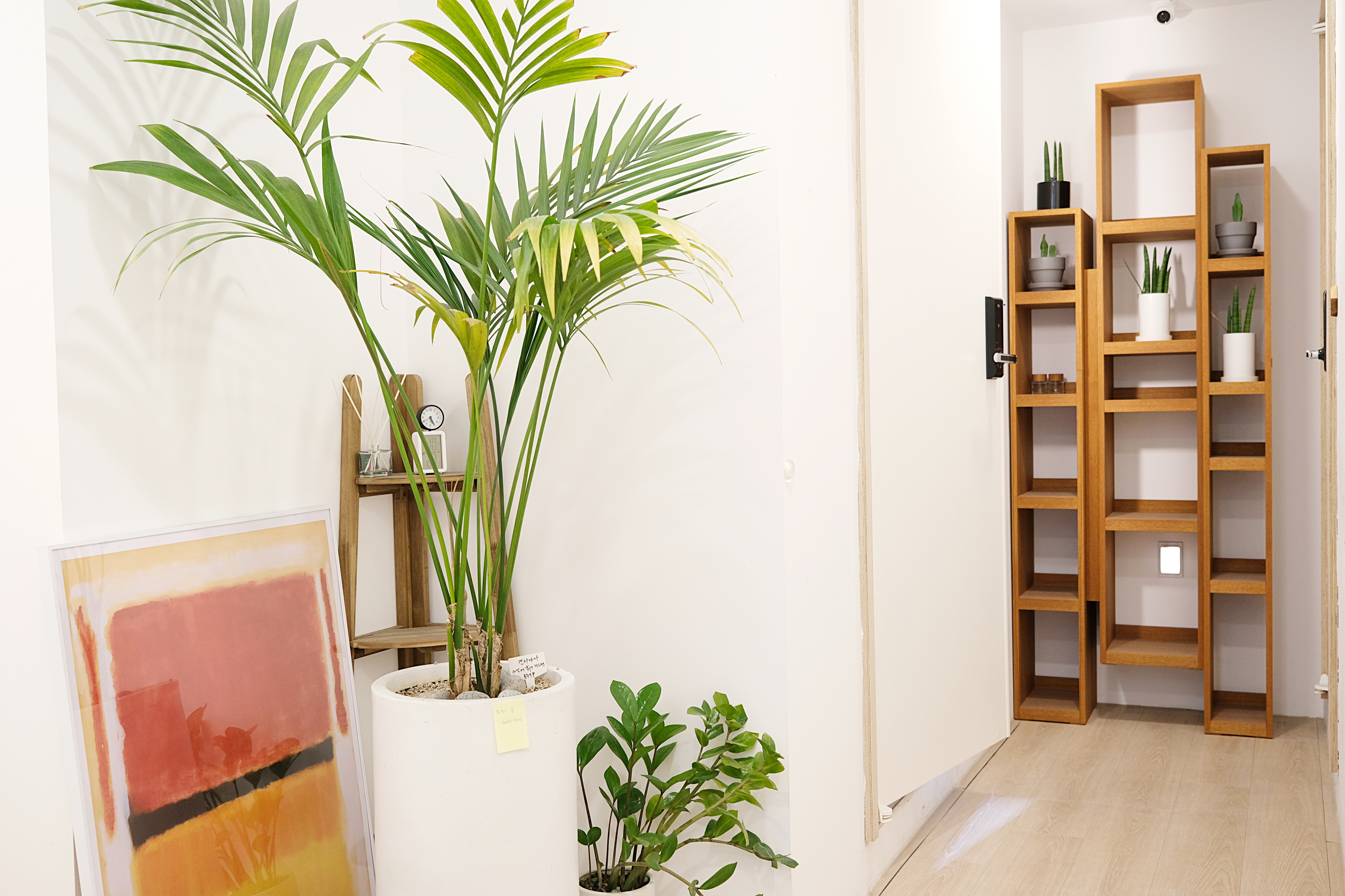 5번째 스튜디오 사진