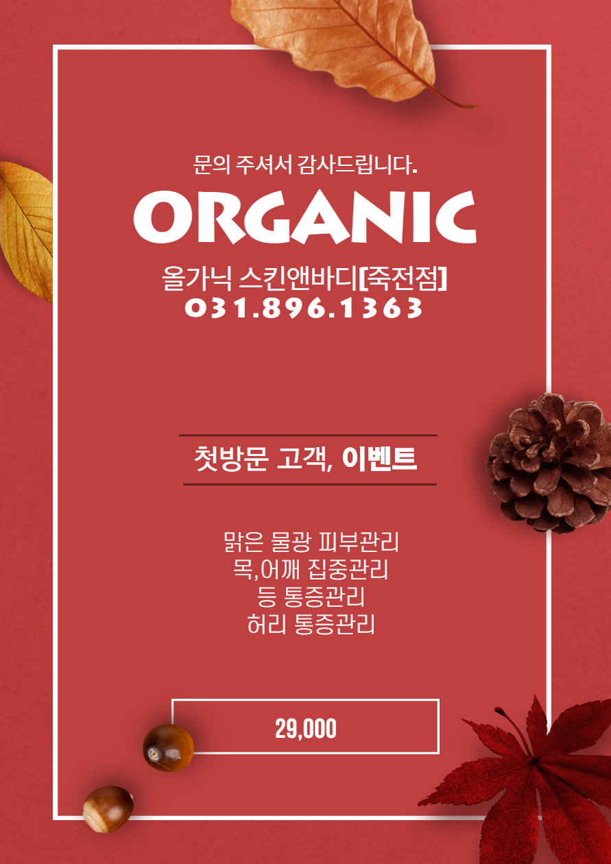 올가닉 스킨앤바디