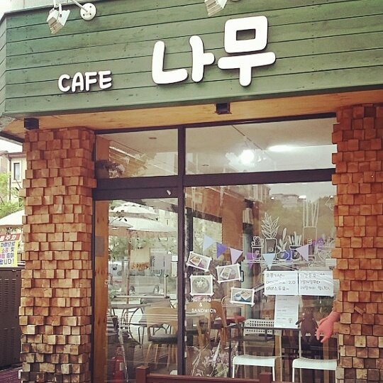 카페나무