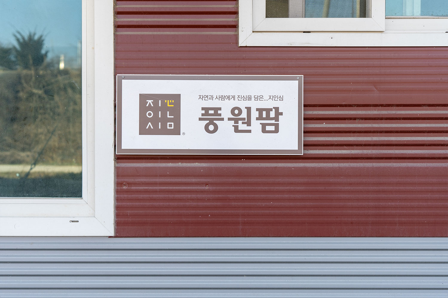 풍원팜장호원복숭아