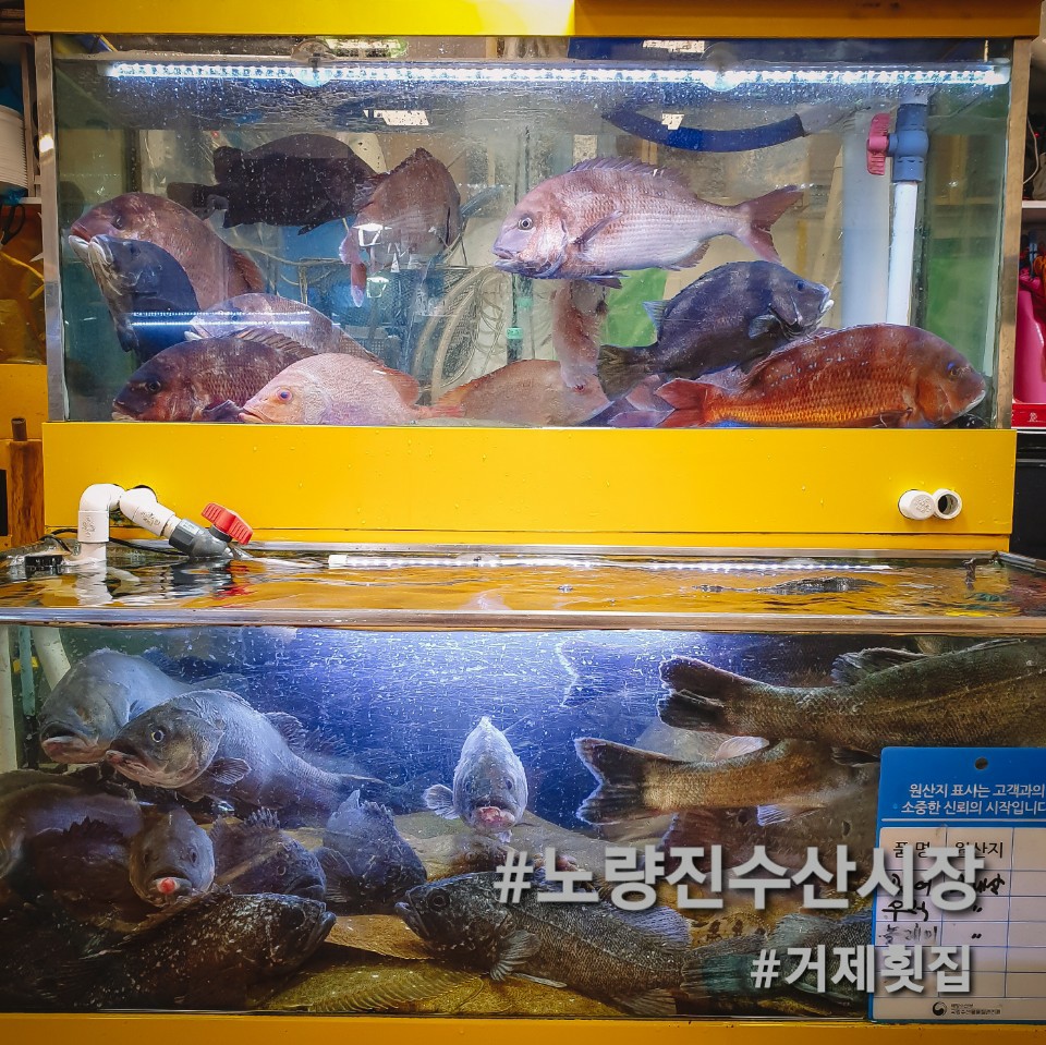 거제회수산 이미지