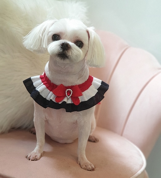 예뻐지개 대표 이미지