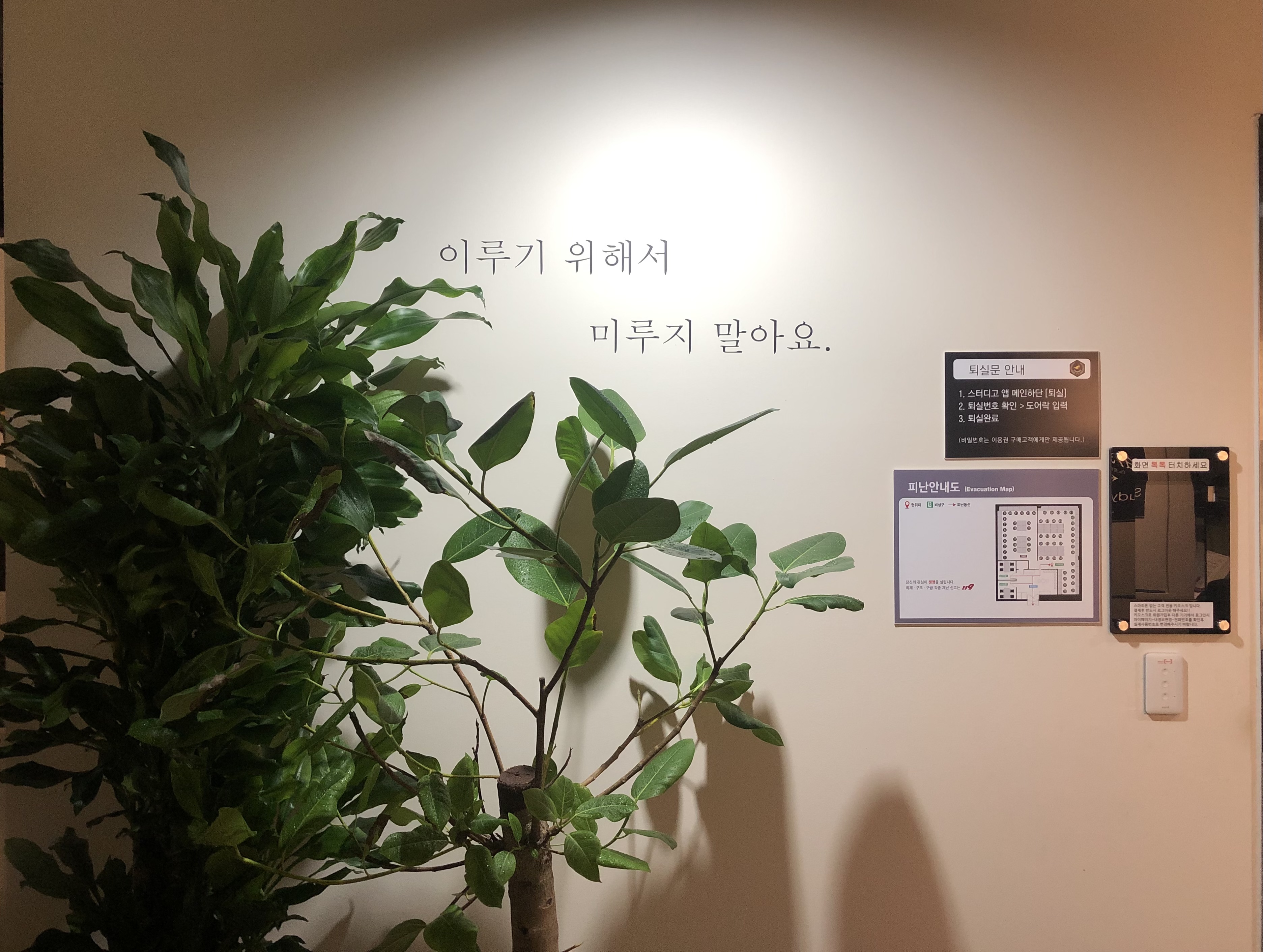 업체사진