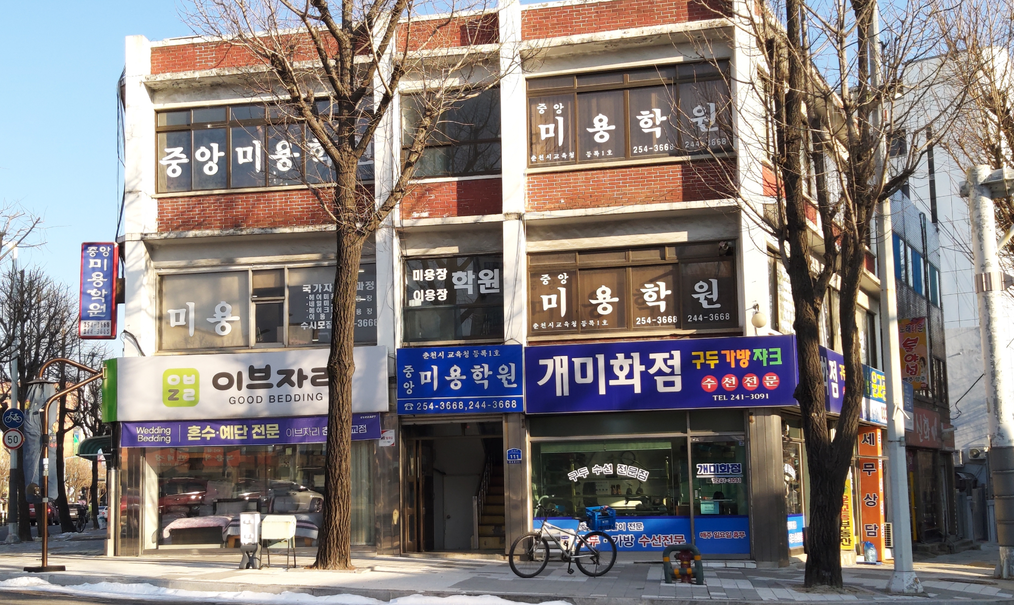 개미화점
