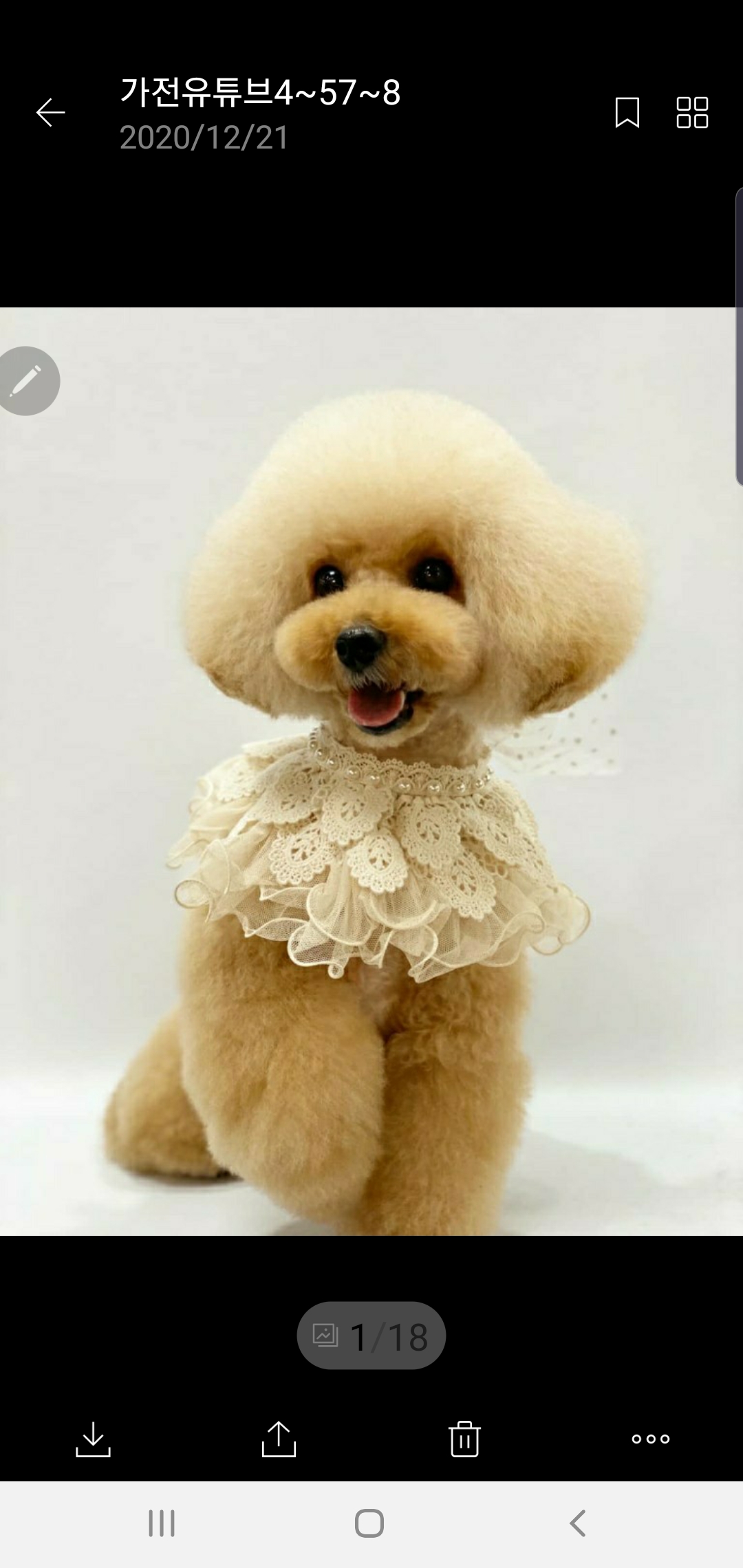 하남애견훈련소 대표 이미지