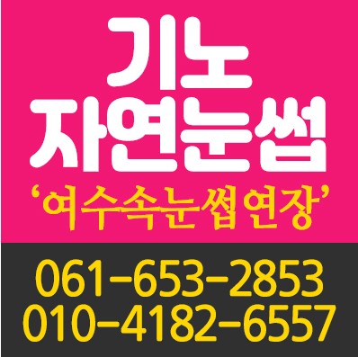 기노자연눈썹