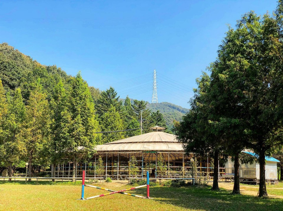 충무승마장