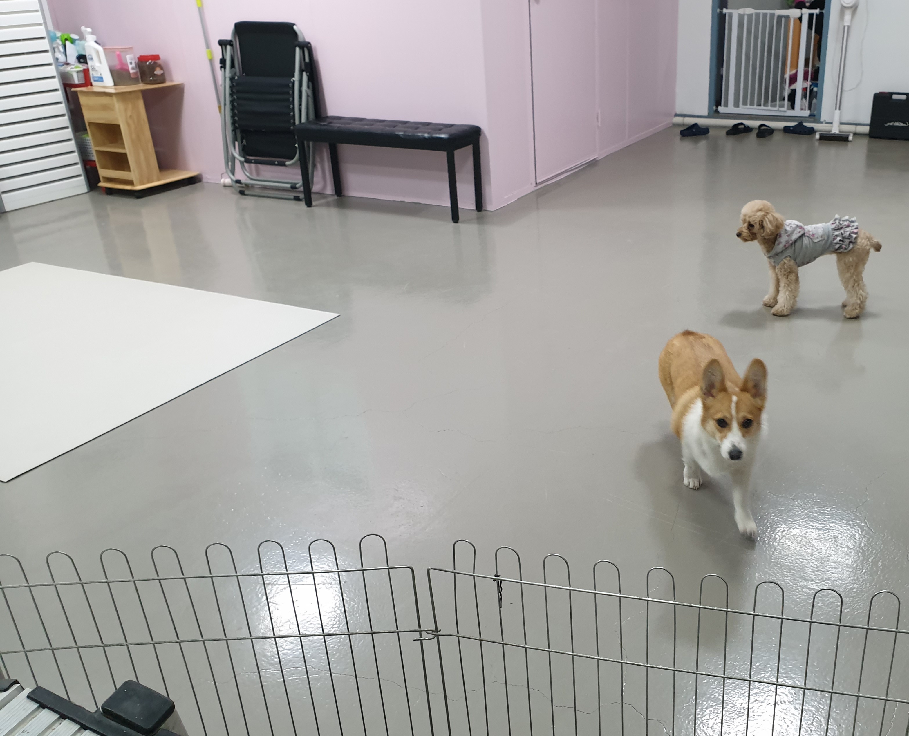예쁘개미용 대표 이미지