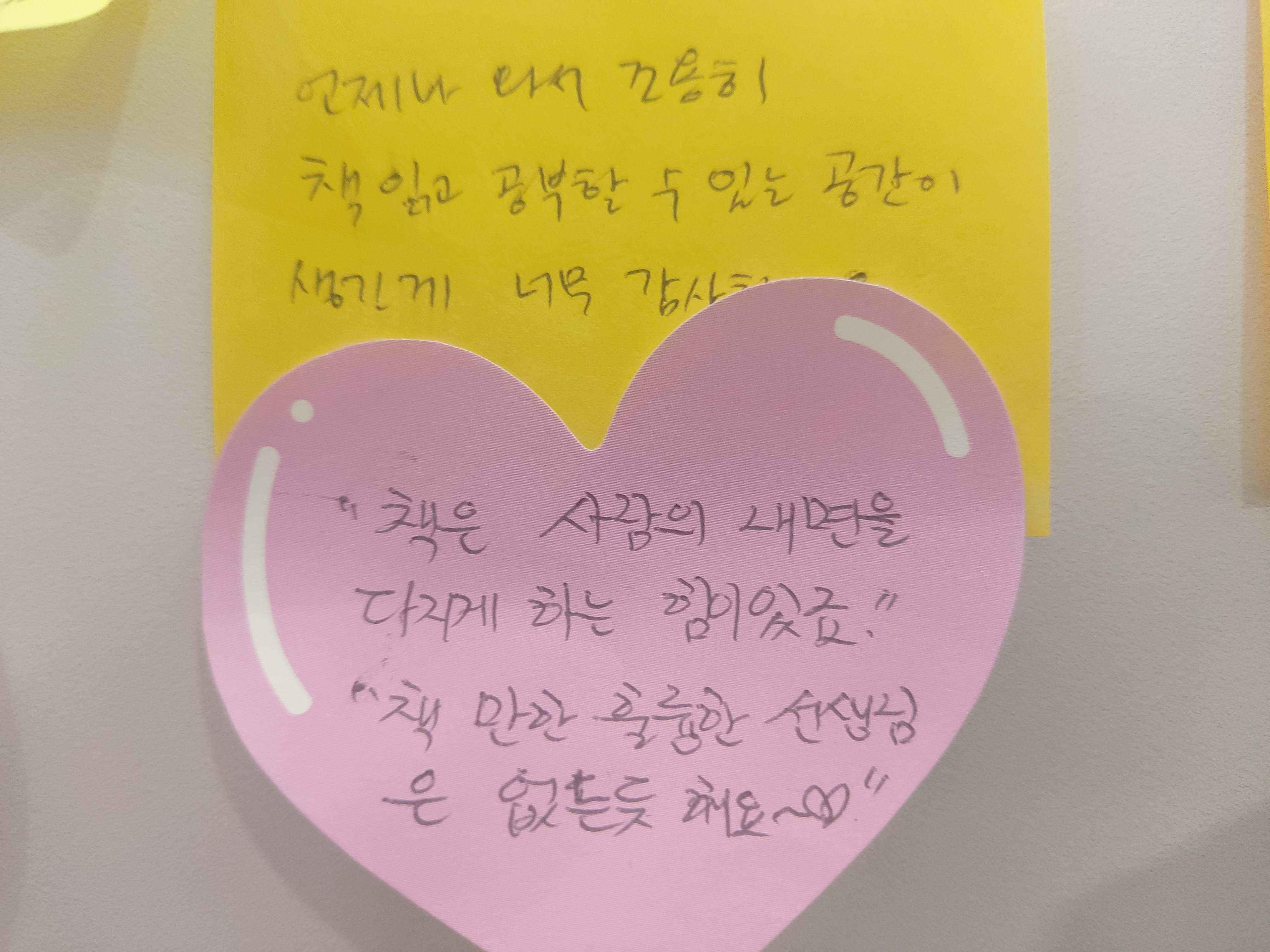 업체사진