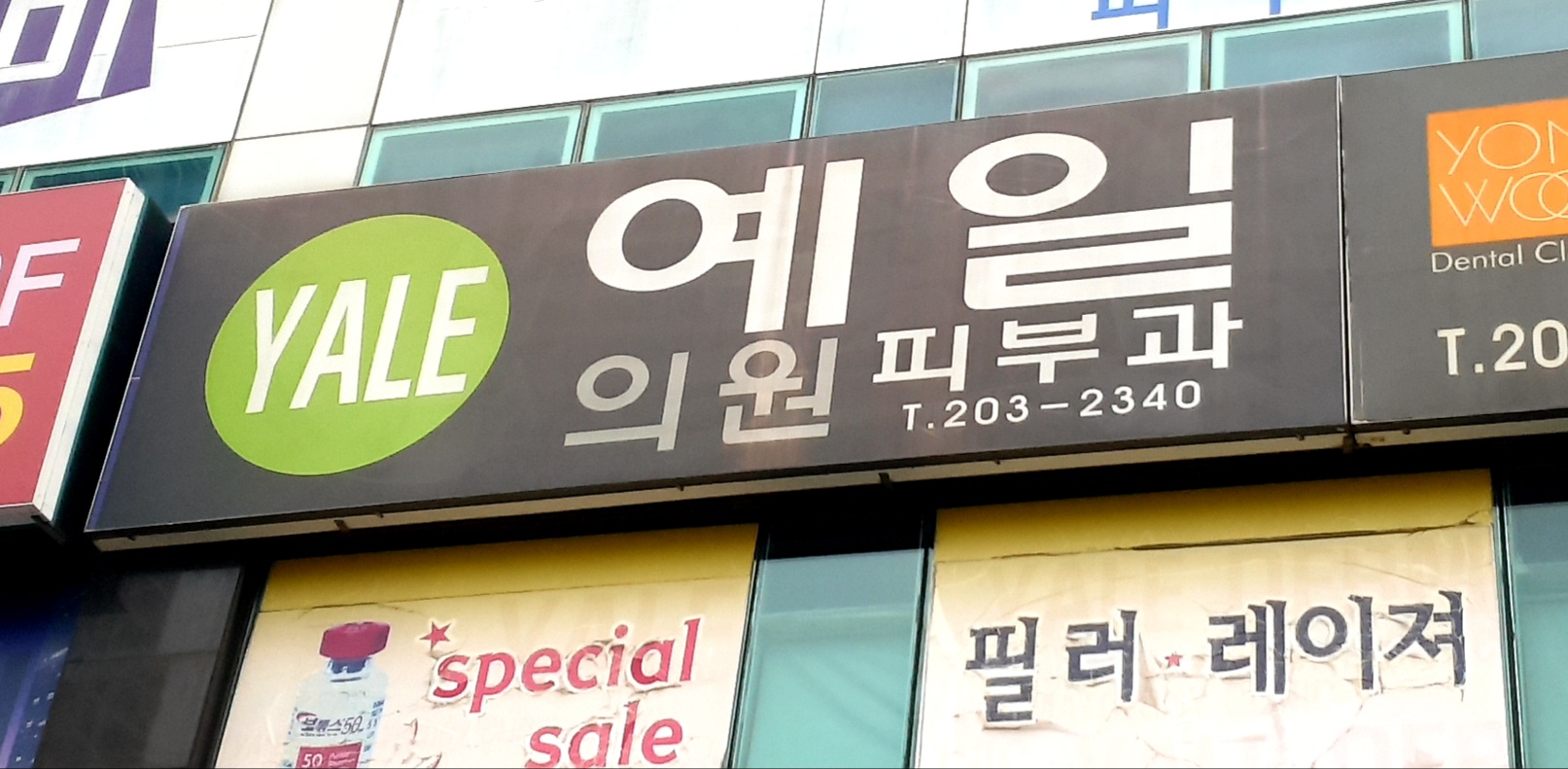 예일의원