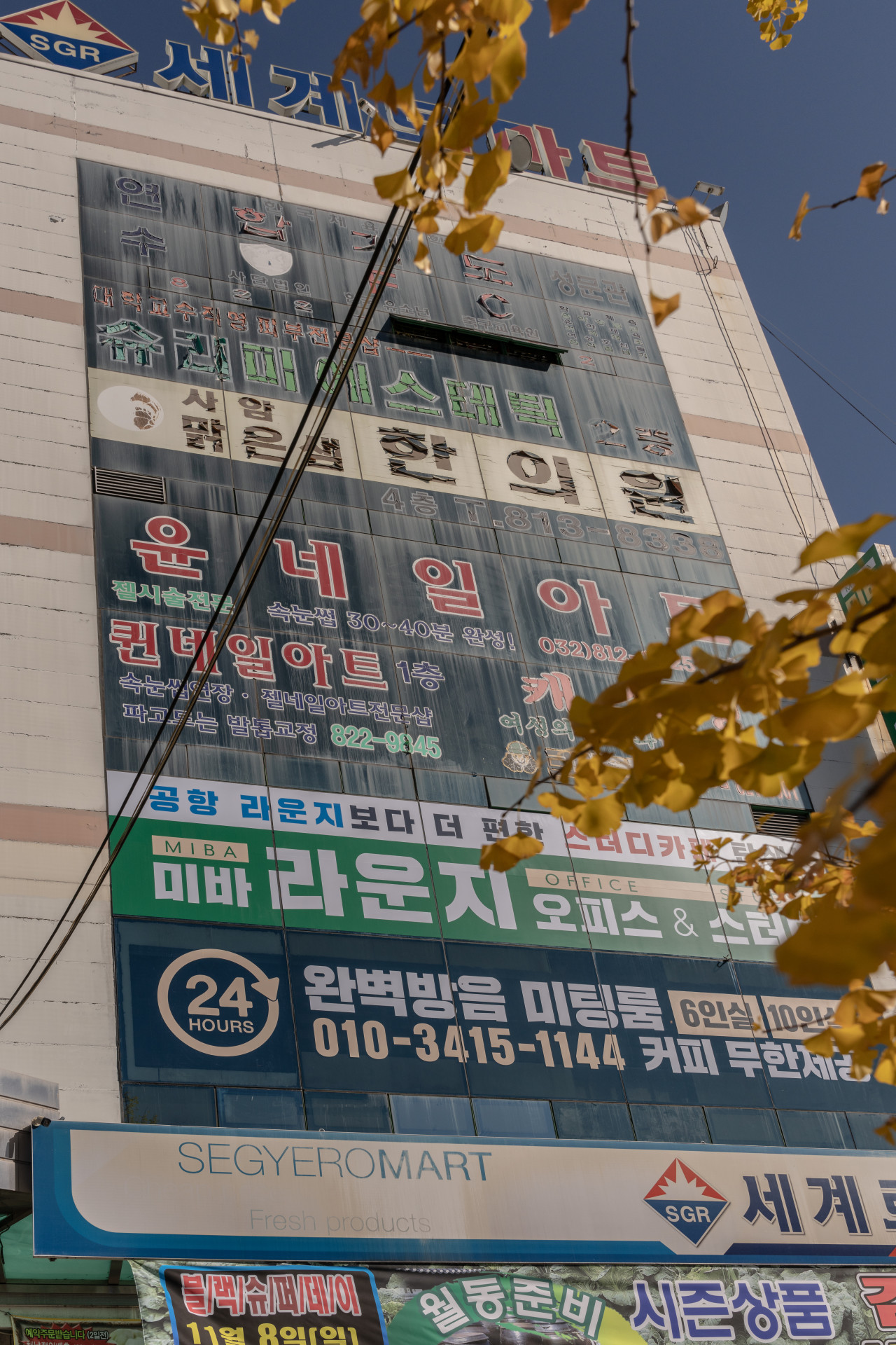 업체사진