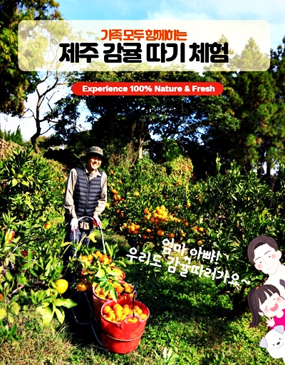 농업회사법인 제주에서