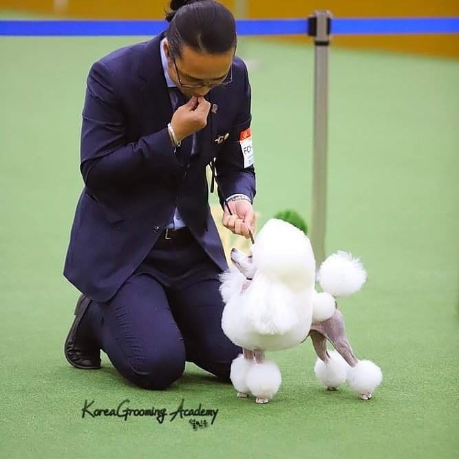 설민우애견미용학원 대표 이미지