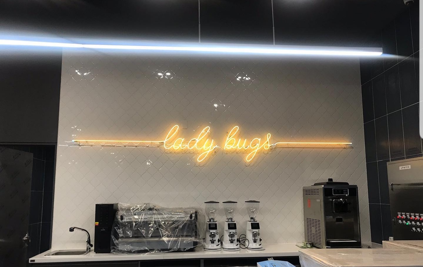 레이디벅스 장성