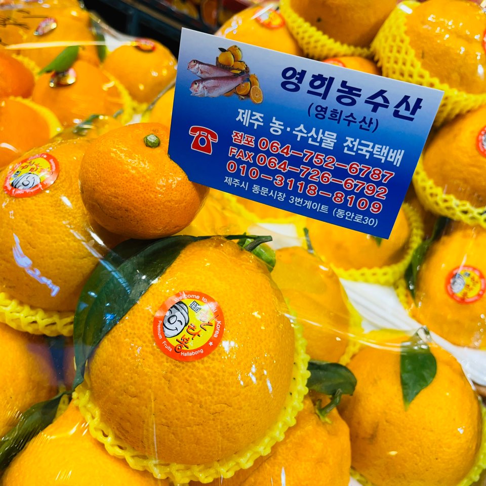 영희농수산