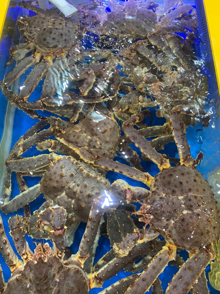 임마누엘수산