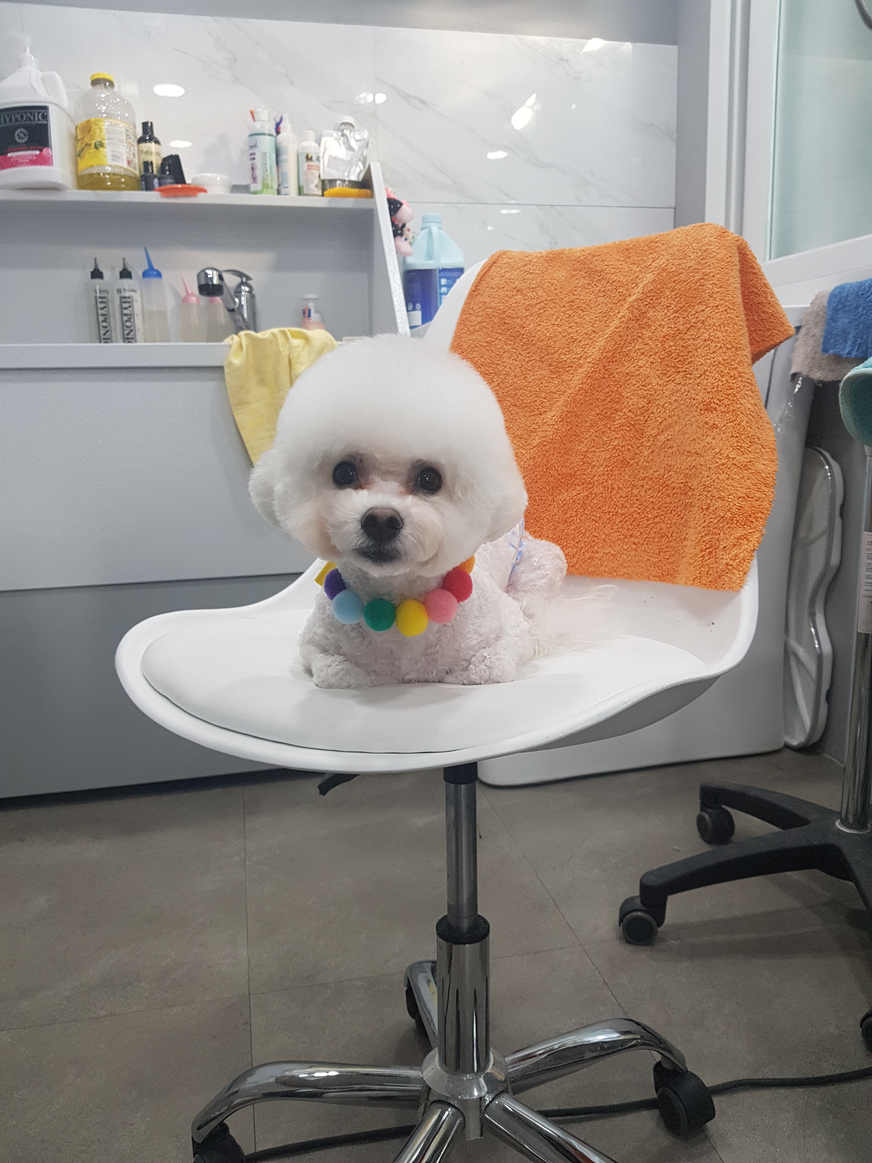 몽블리 대표 이미지