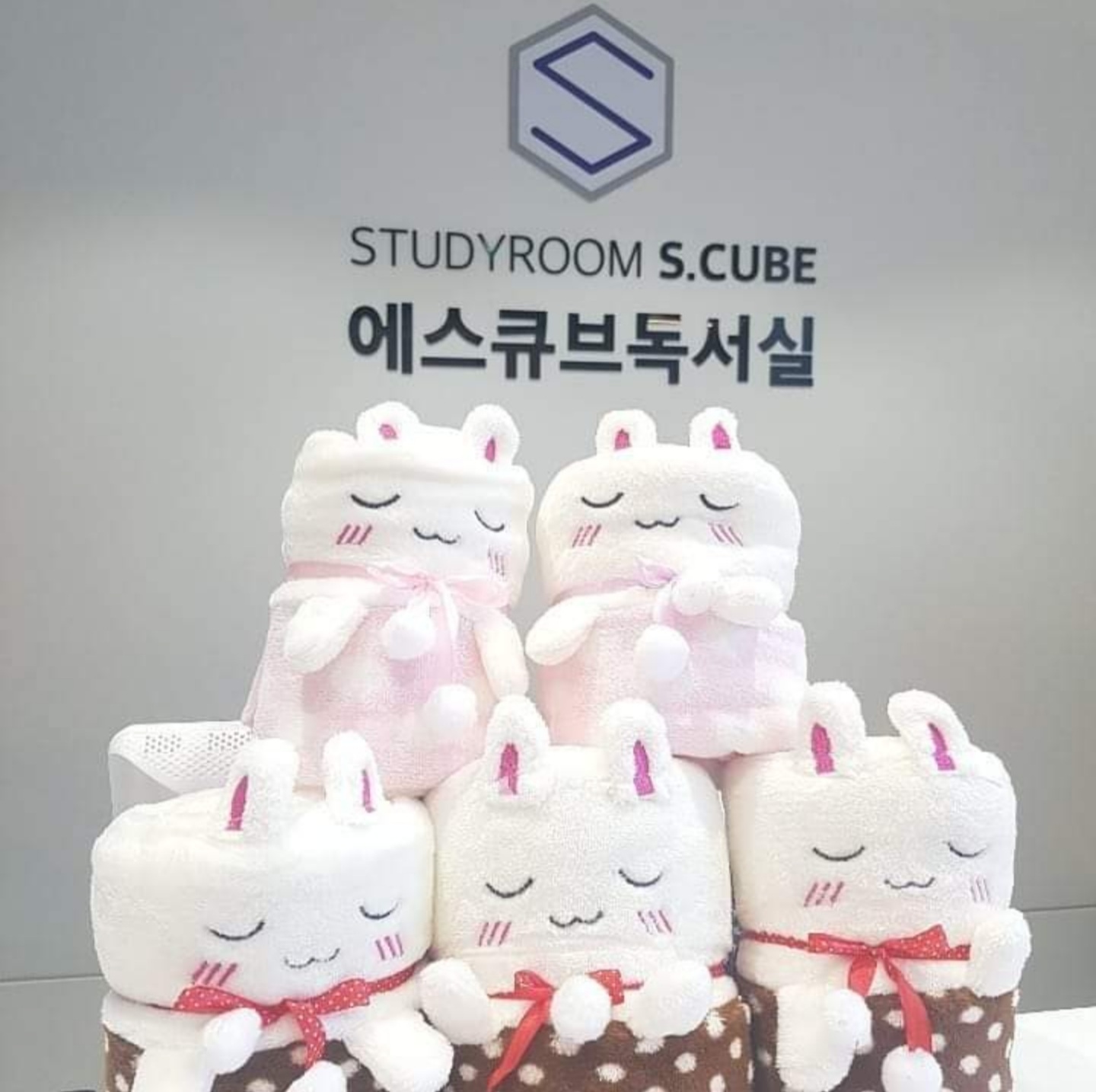 업체사진