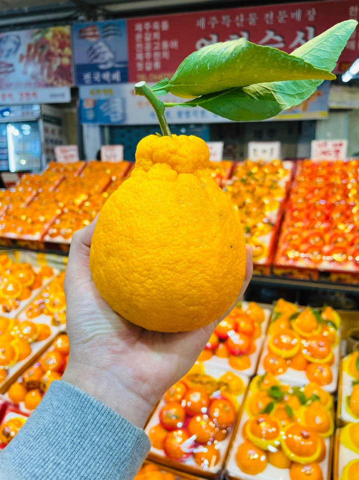 영희농수산