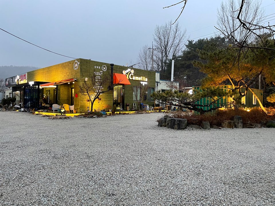 까멜리아 대표 이미지