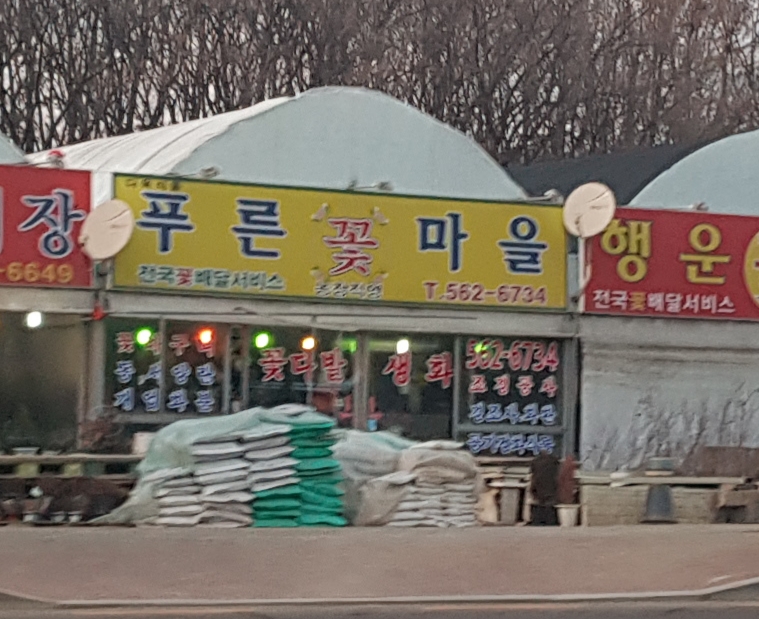 푸른꽃마을