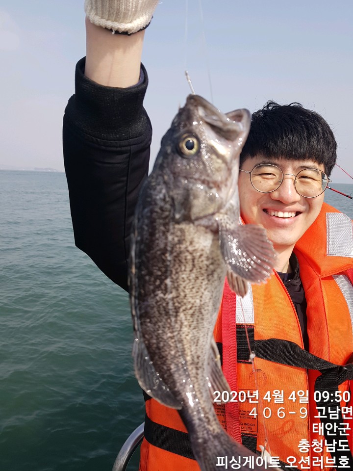 피싱게이트 영목점