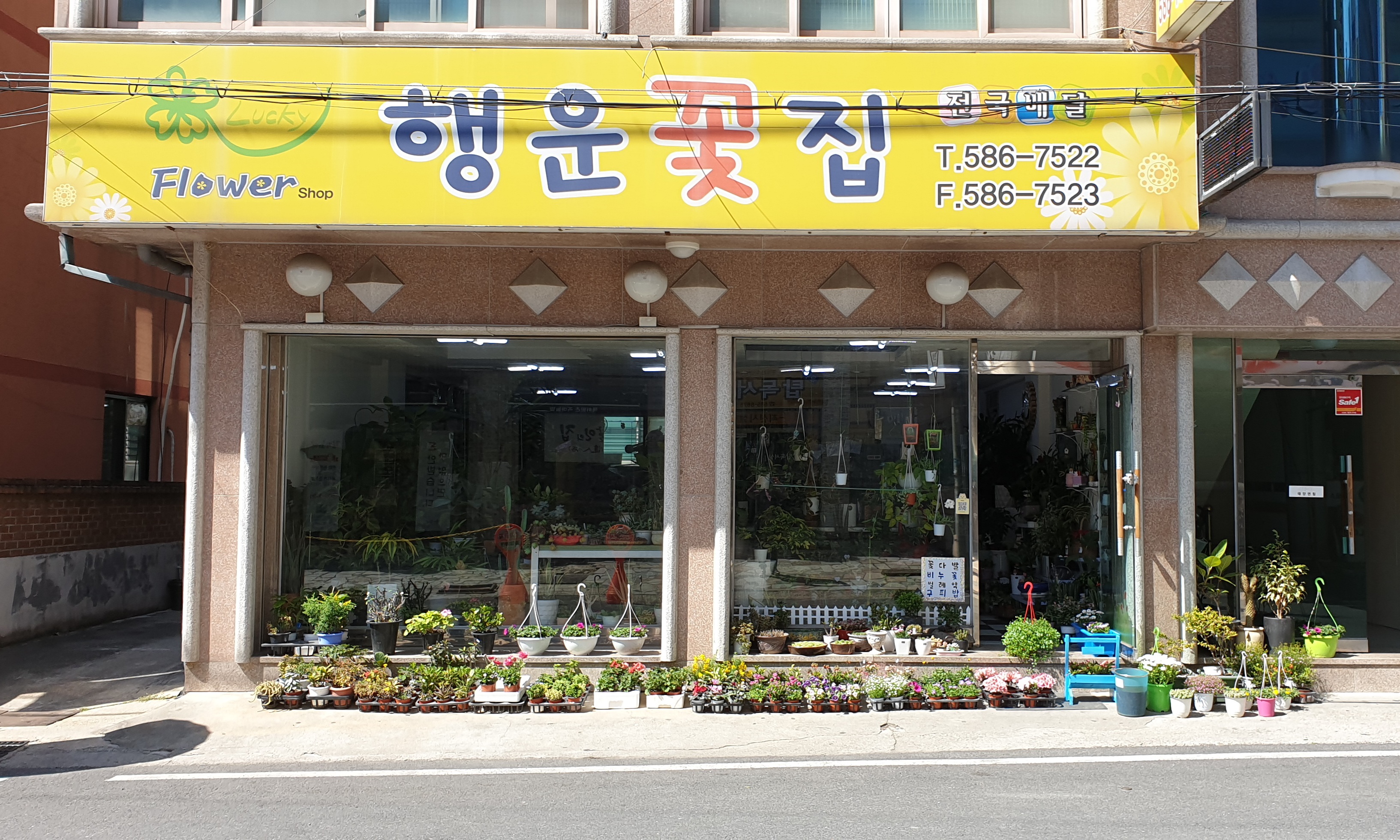 행운꽃집