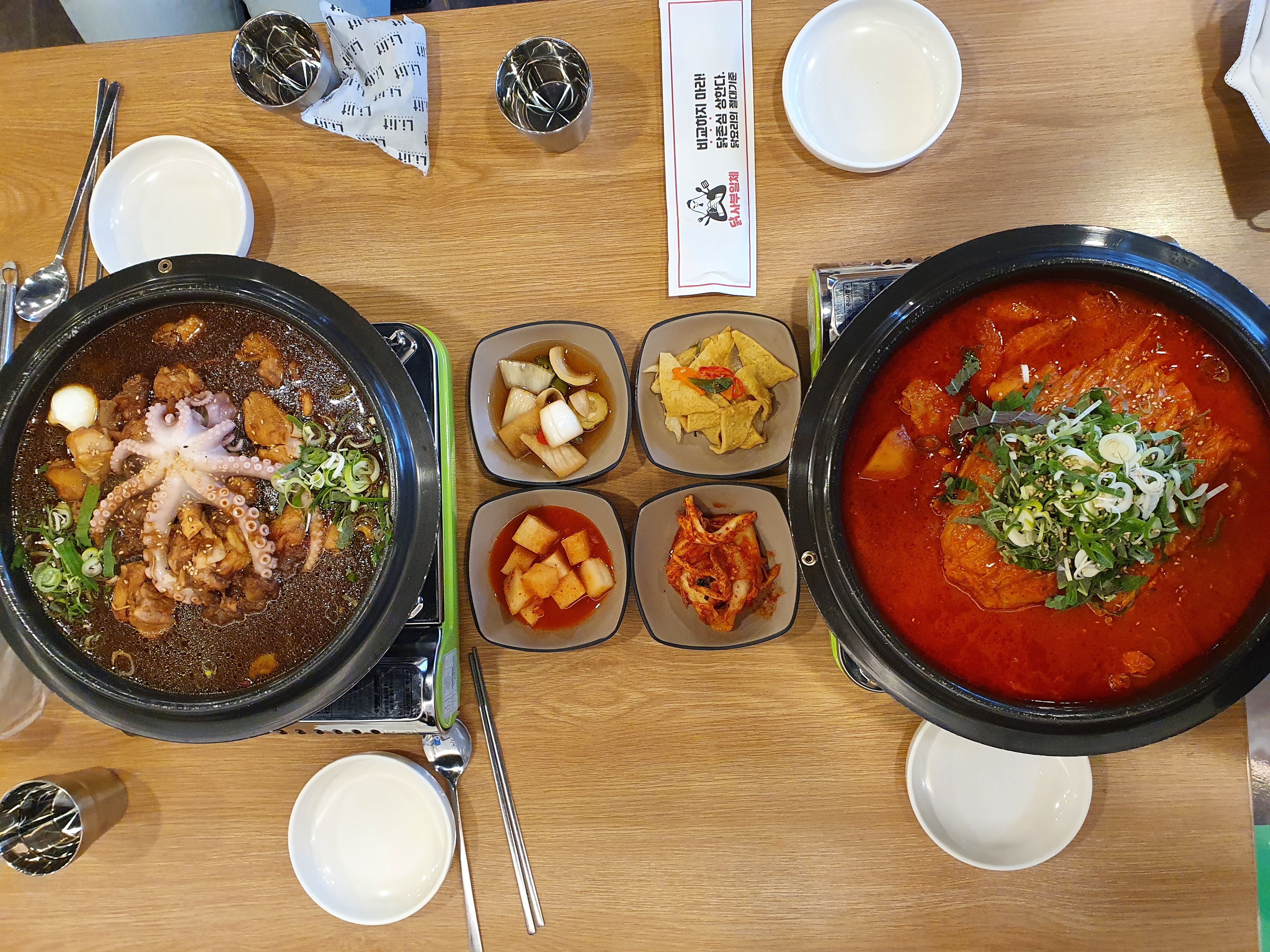 닭사부일체 반려동물 동반 애견카페