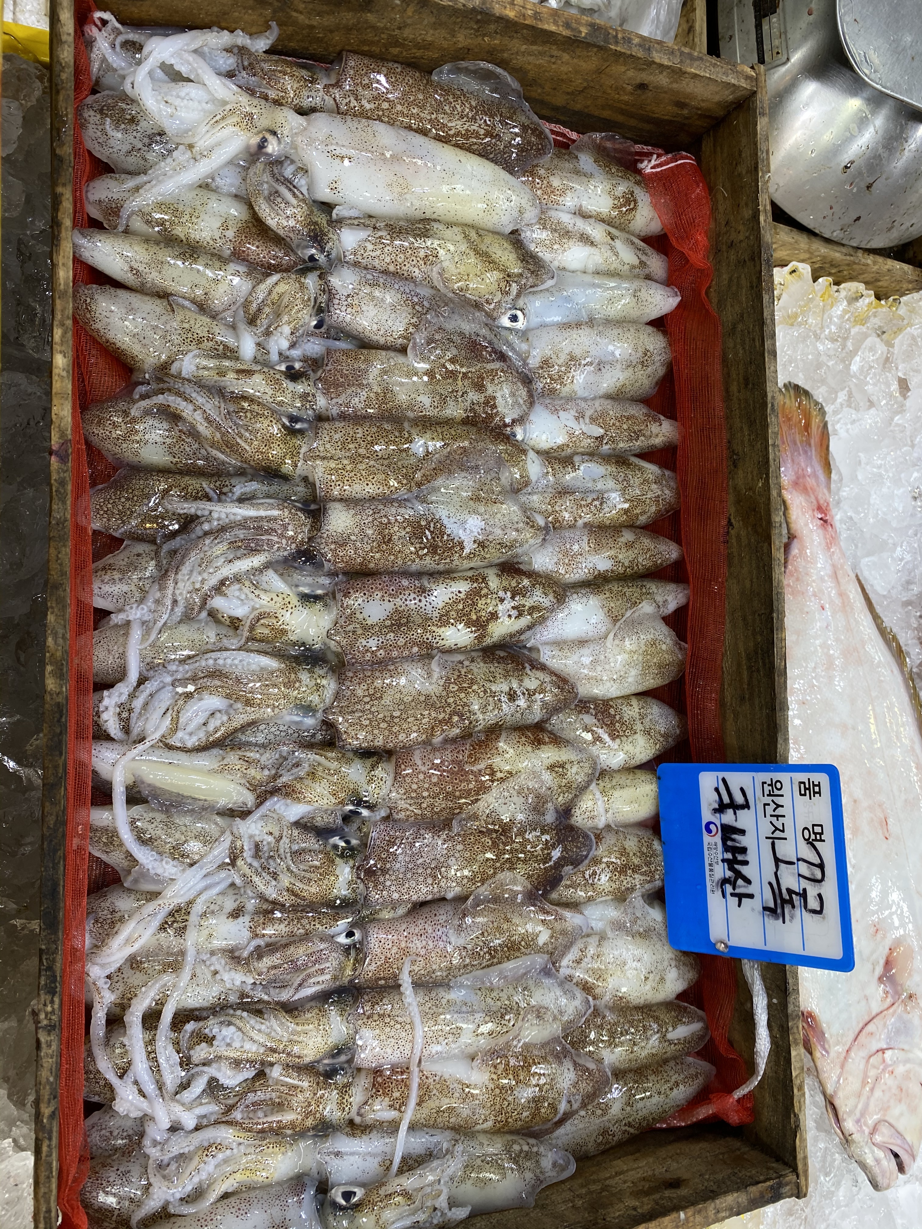 중앙수산