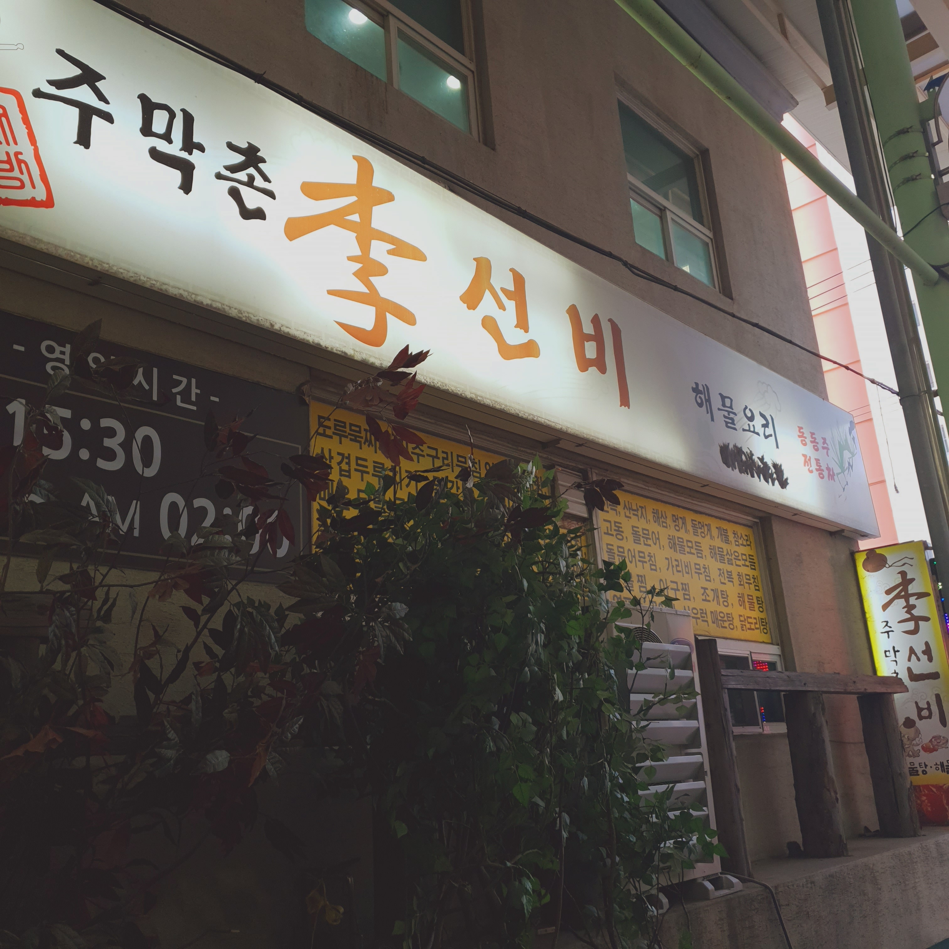 이선비