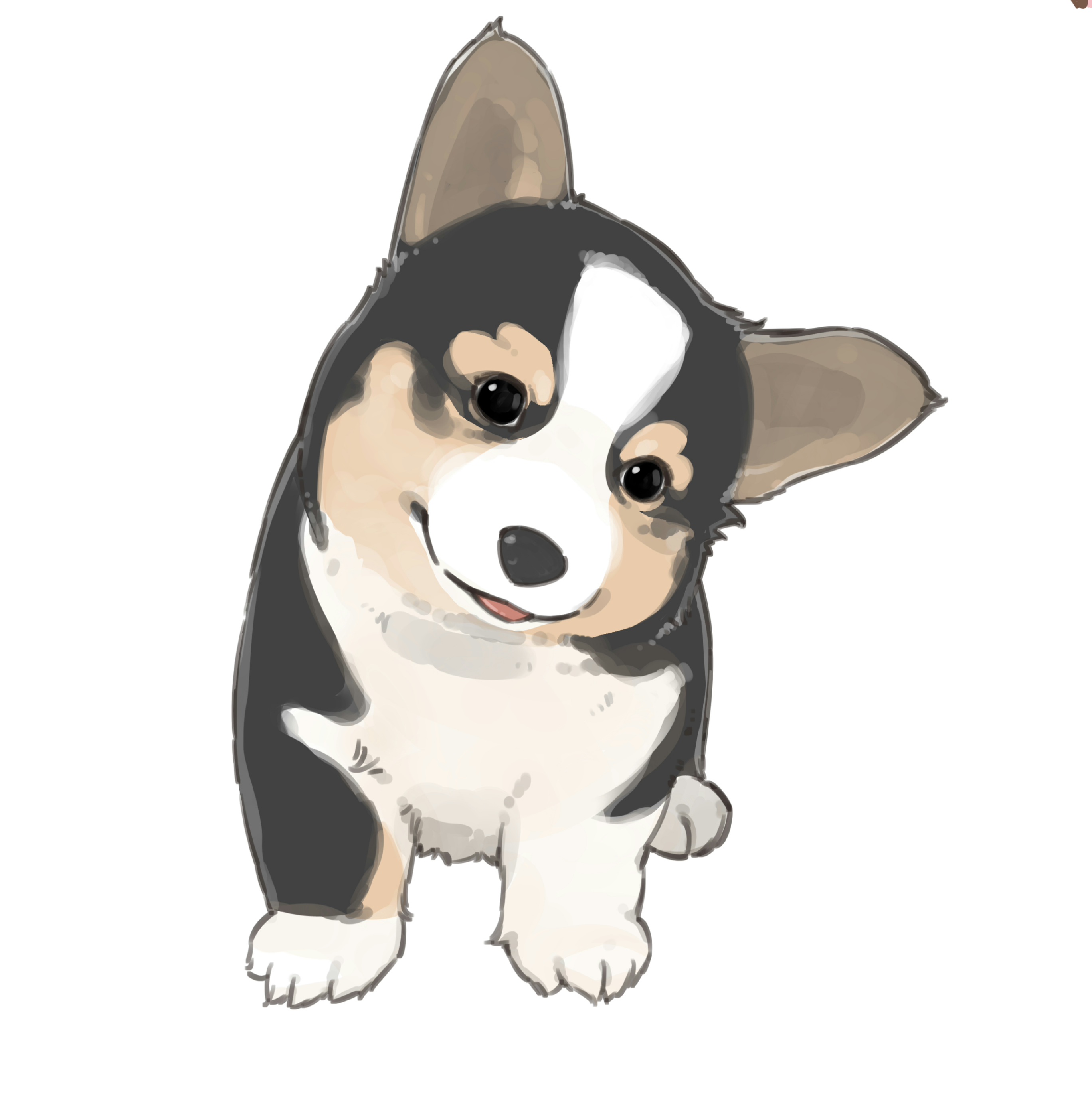 도담도담펫시터 대표 이미지