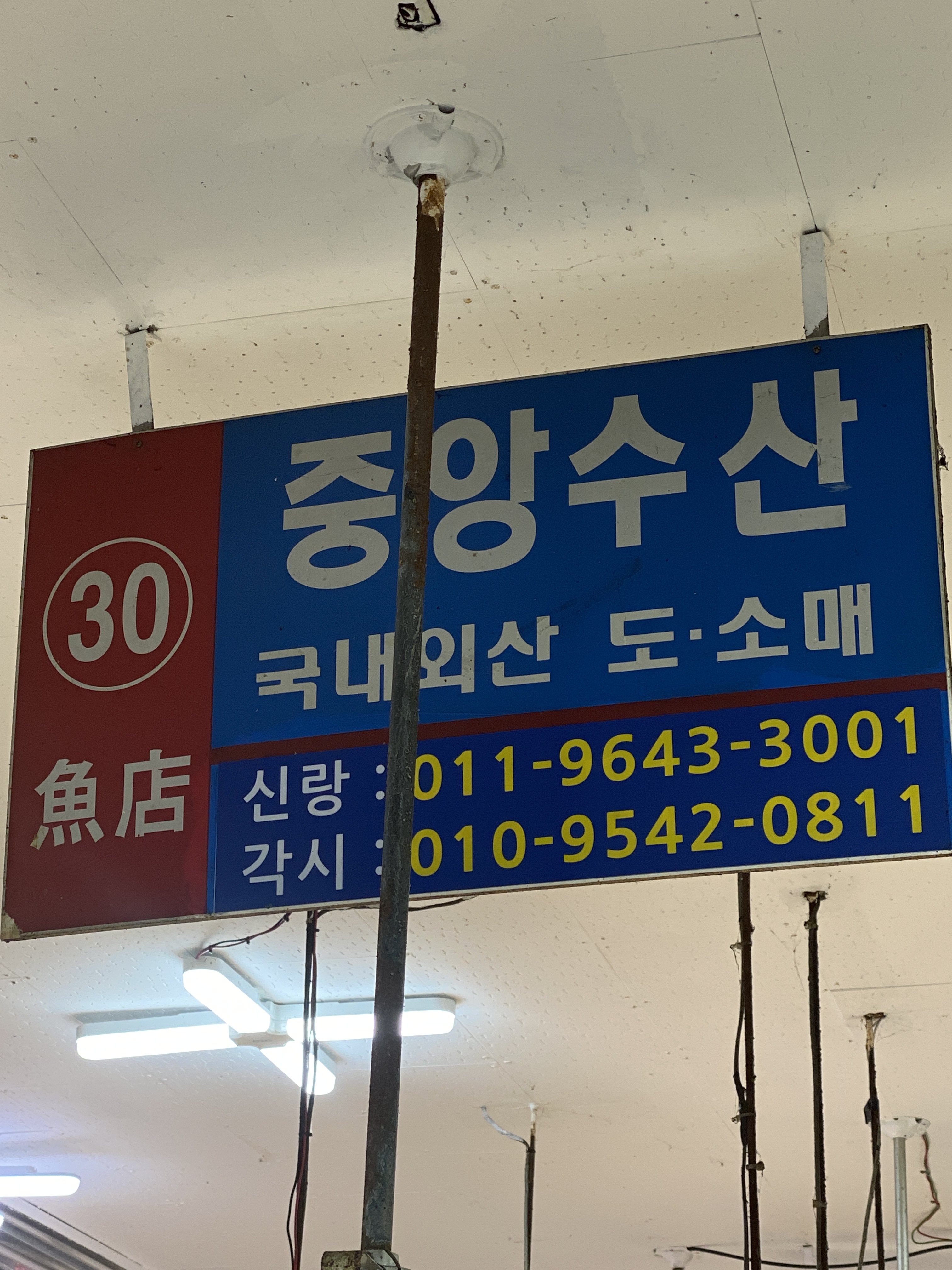 중앙수산