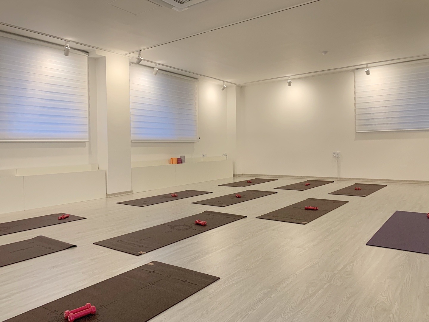 마이뜨리 대표 이미지