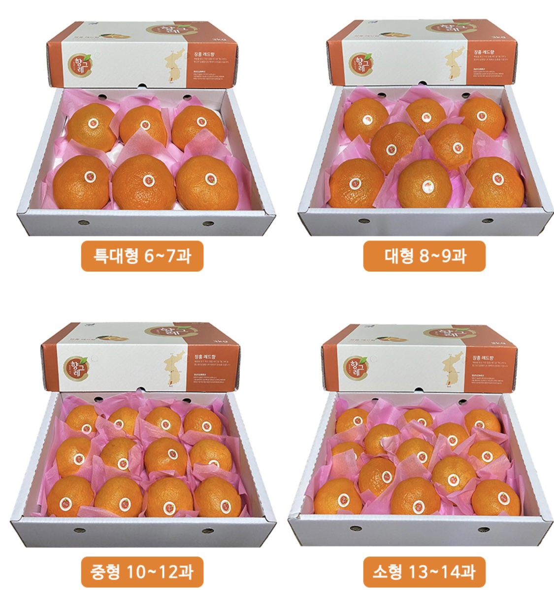 우리두리레드팜