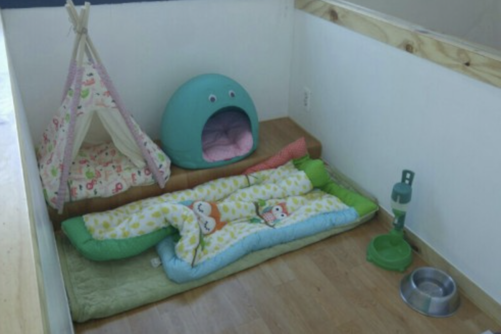 해피애견 대표 이미지