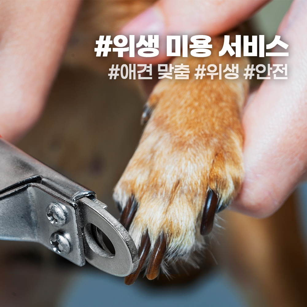 펫VIP 대표 이미지