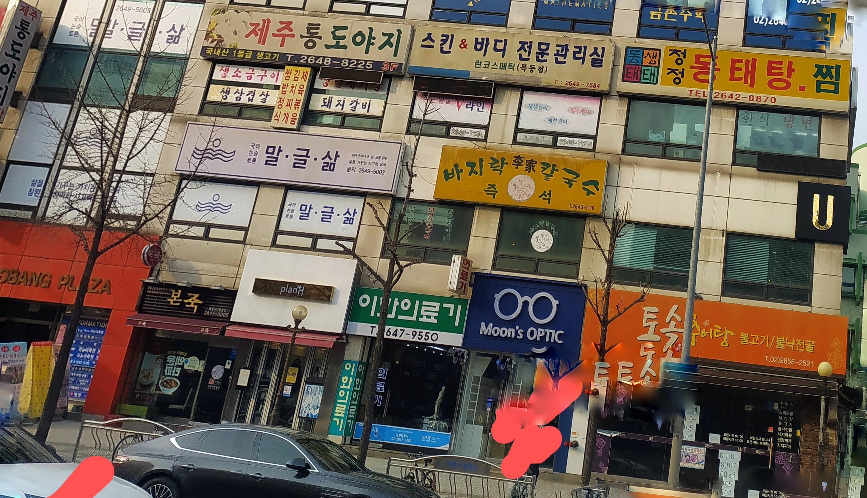 제주통도야지