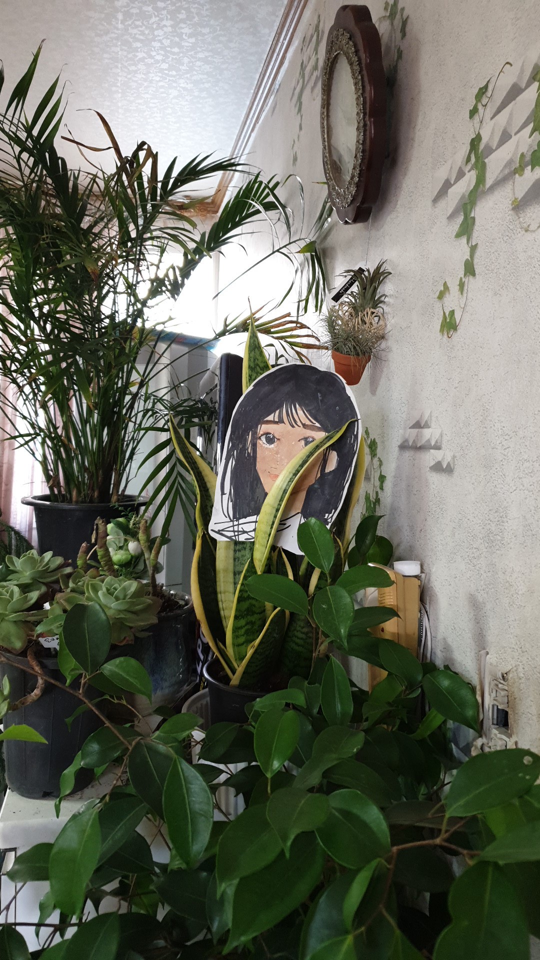 칸플라워아미린카페