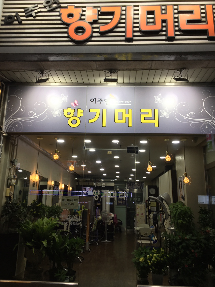 이주연향기머리
