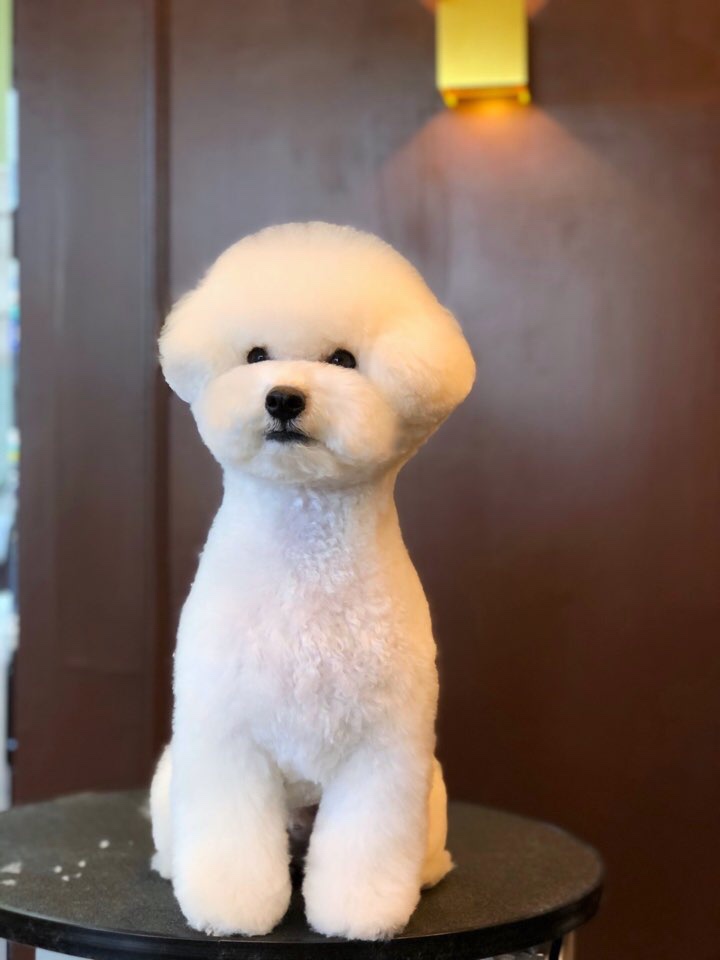 더굿보이 일산본점 대표 이미지