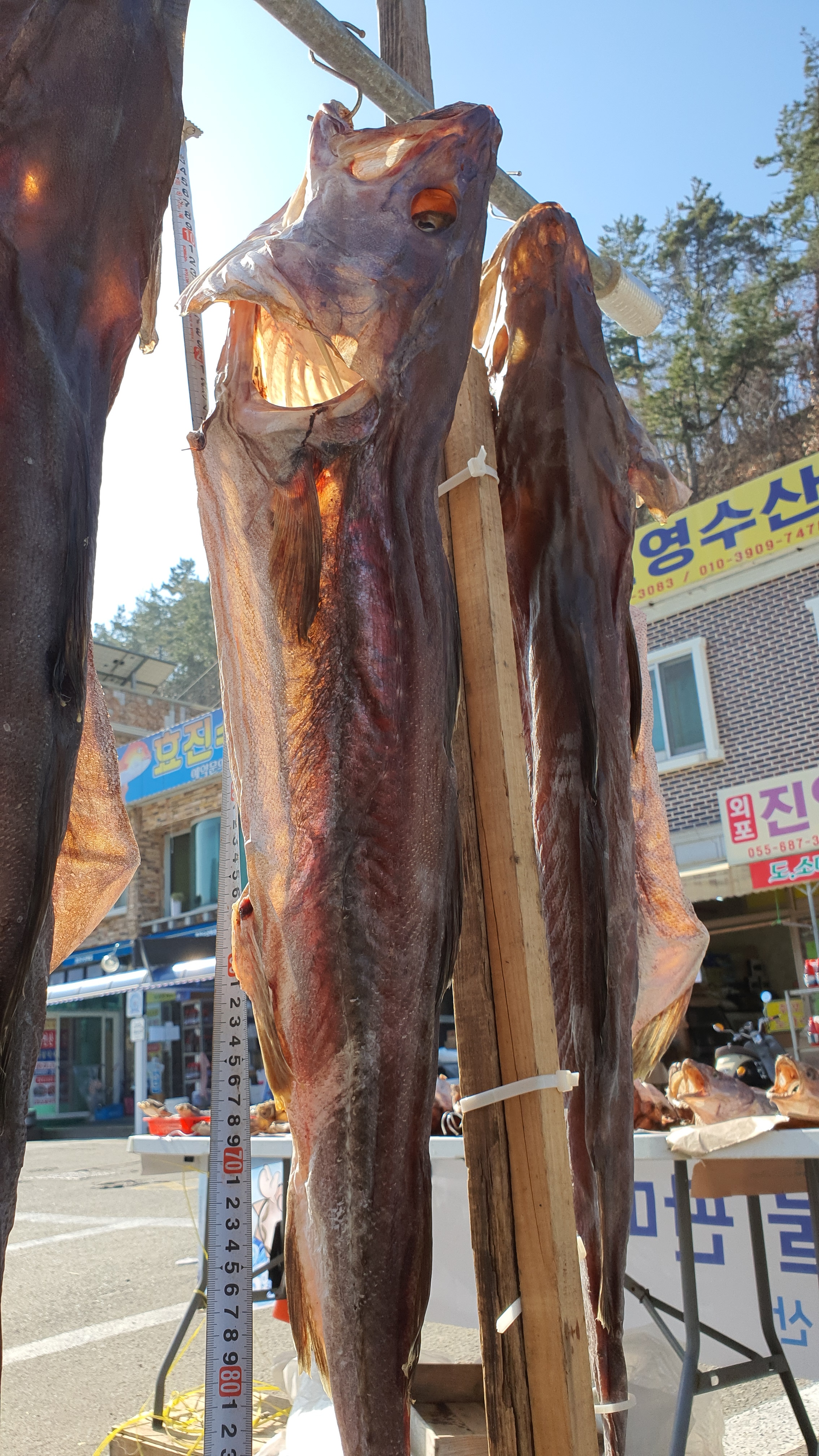 진영수산식품