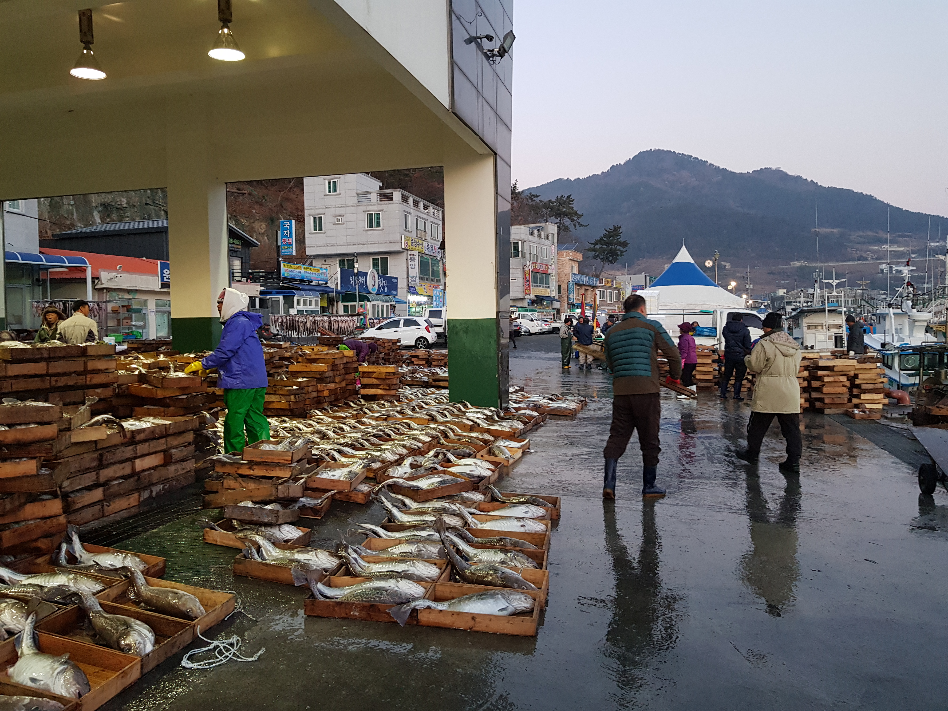 진영수산식품