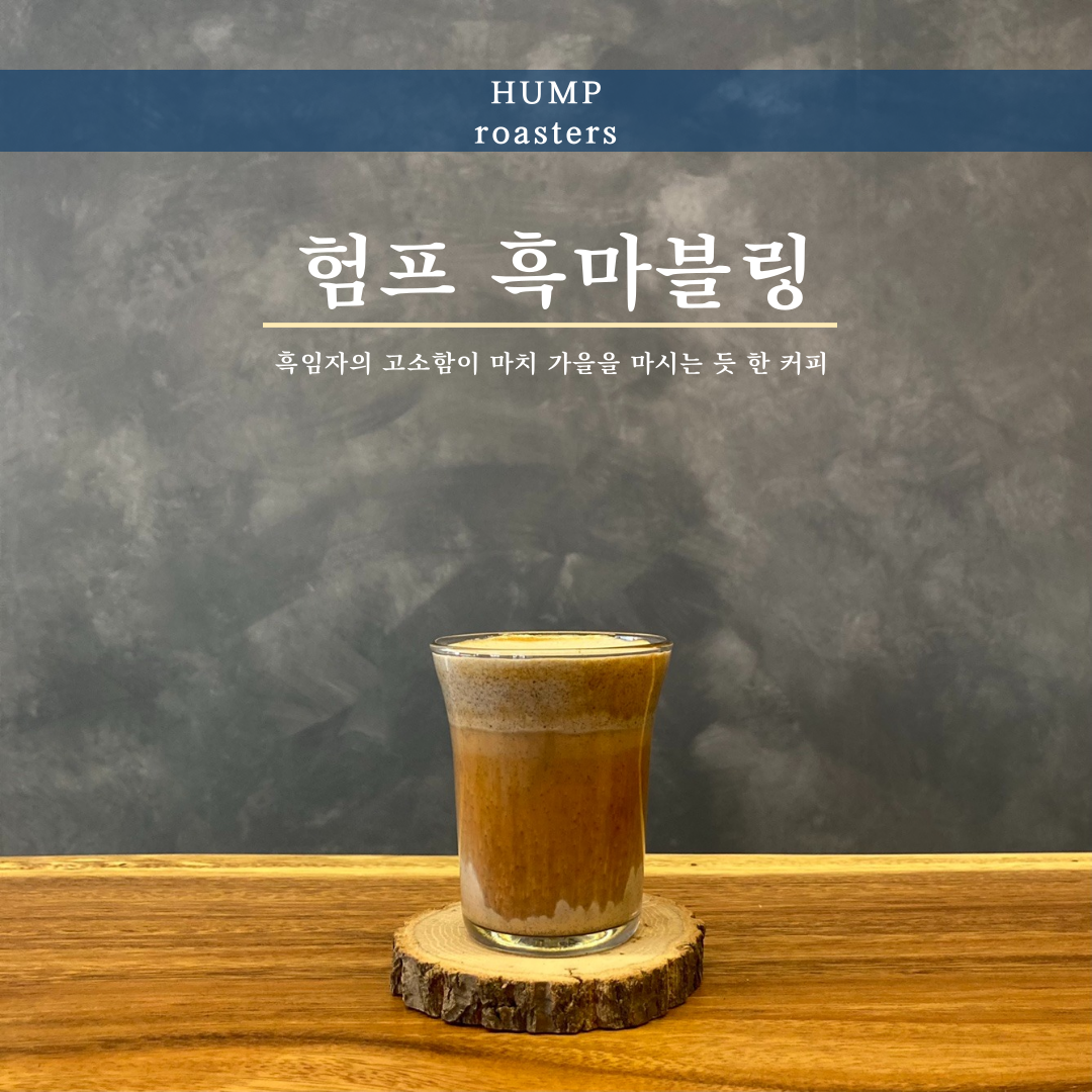 험프로스터스 광주 남구 애견맛집