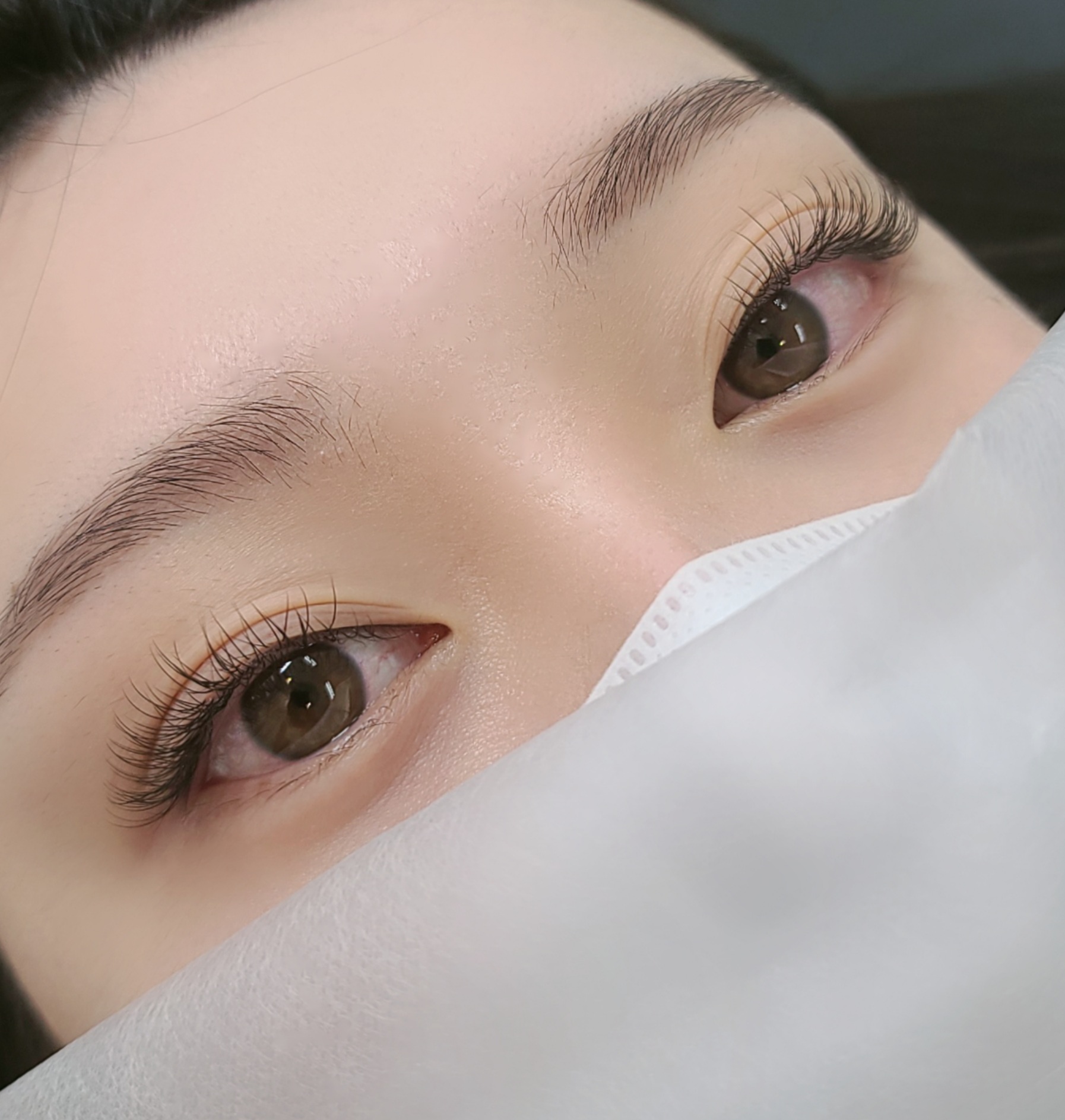 부치다뷰티