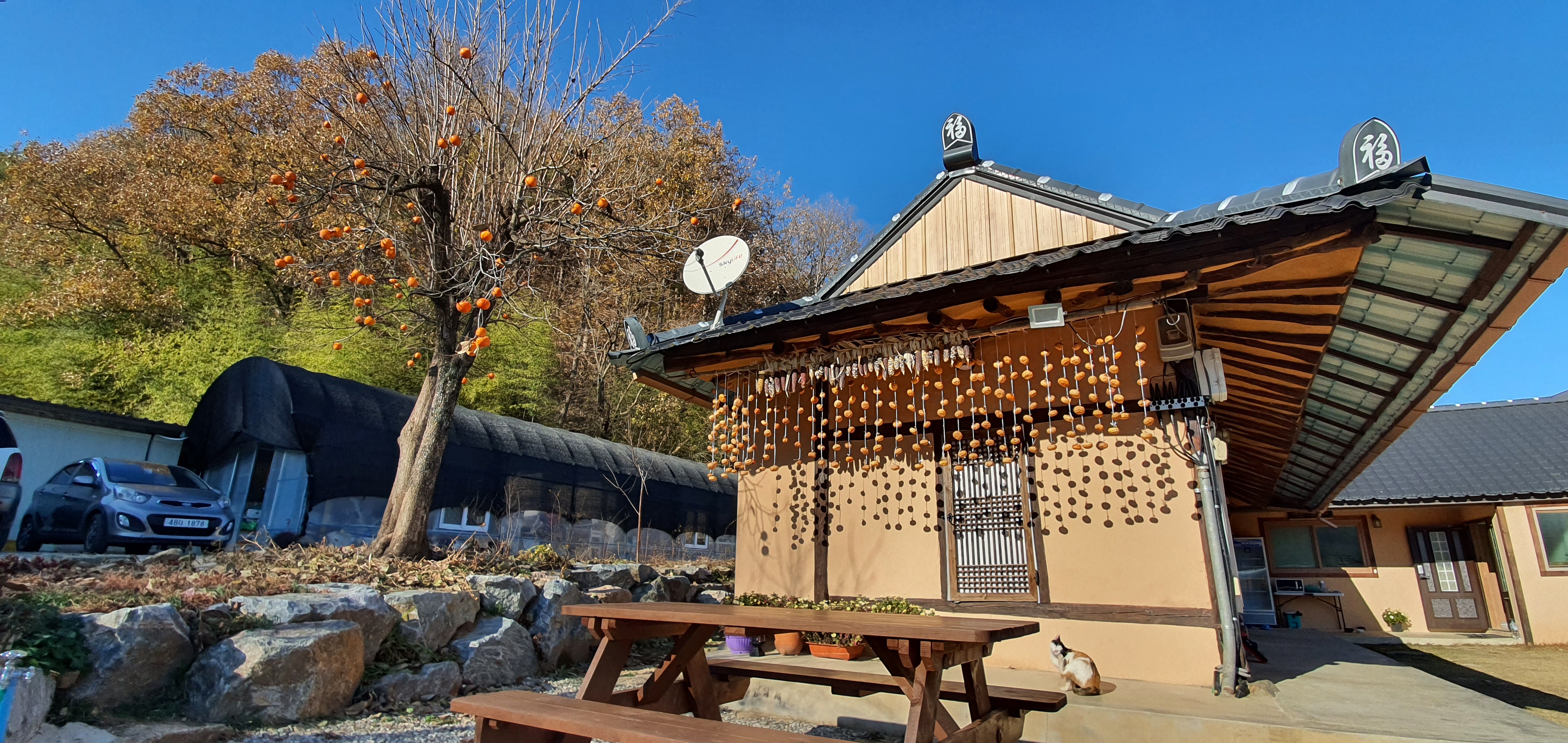 별동산달빛아래