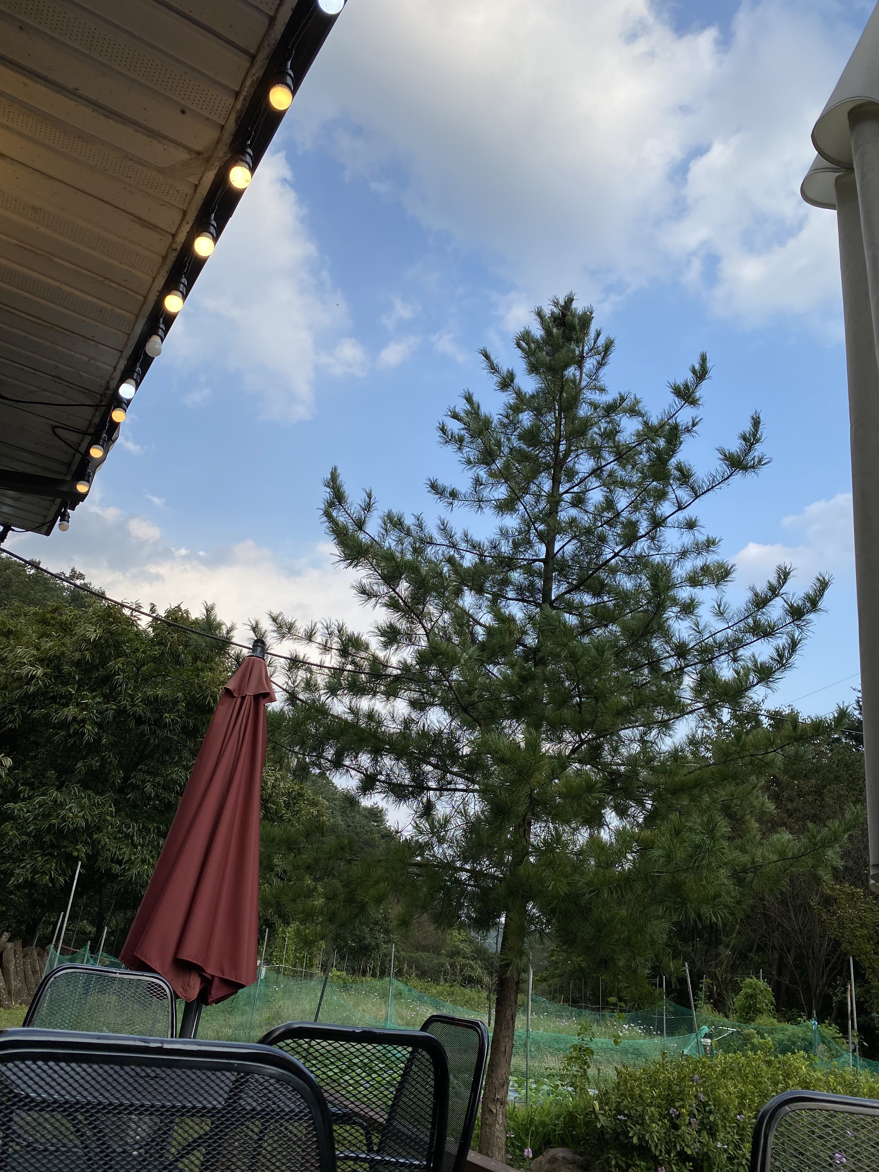 카페마고 대표 이미지