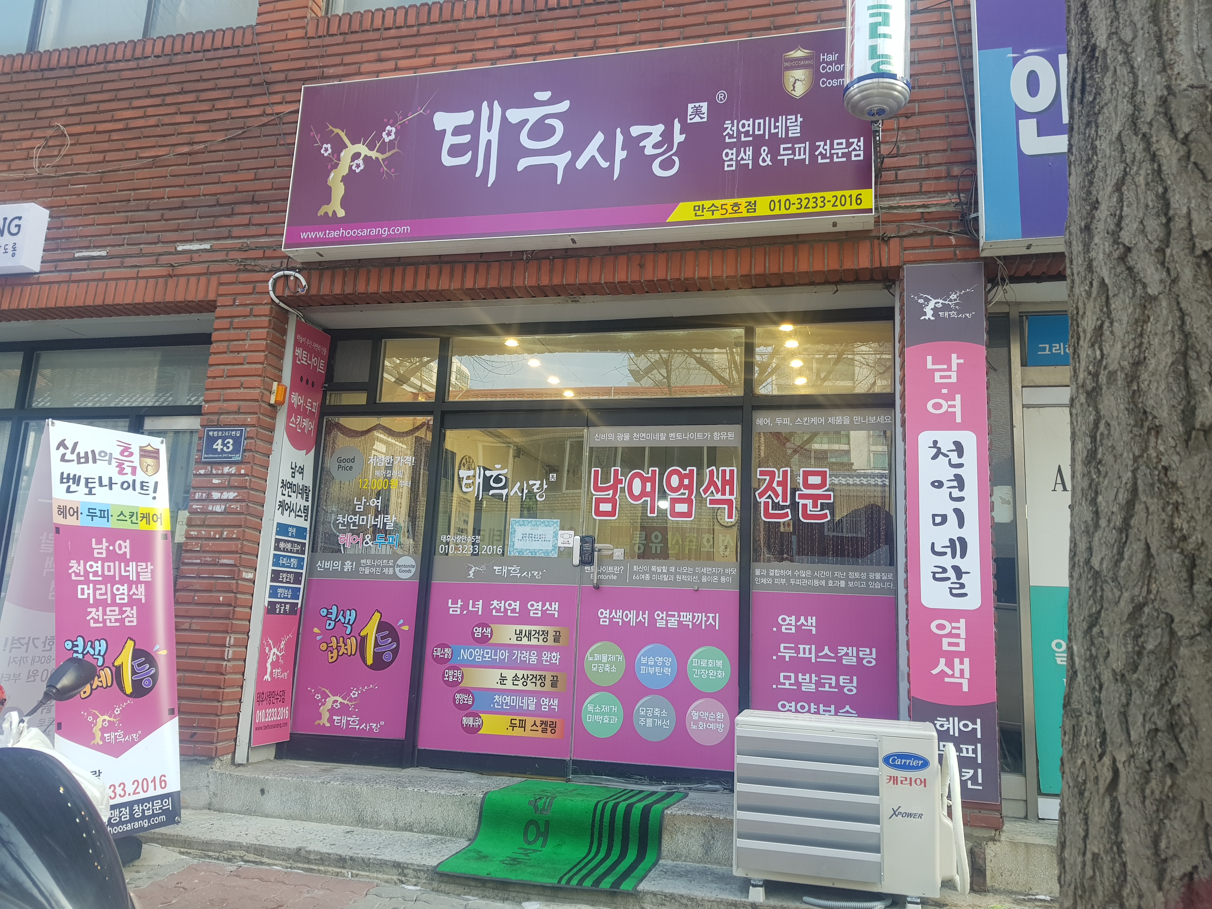 태후사랑 만수5동점