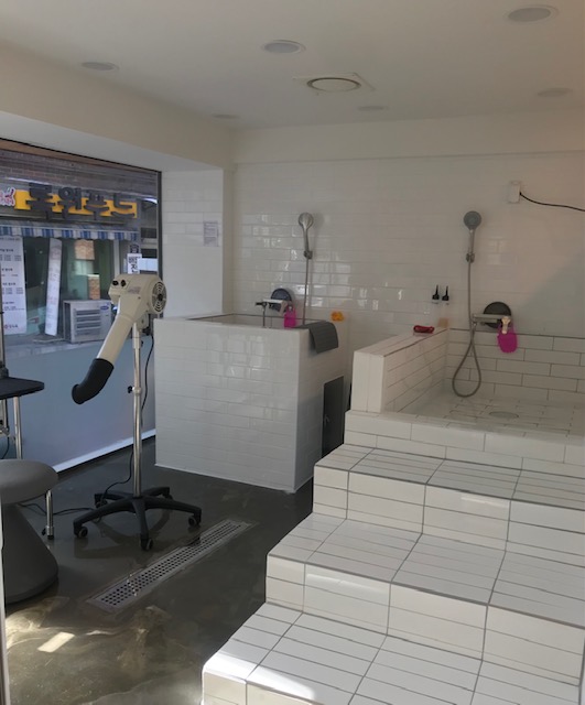 애니네 반려견 미용실 대표 이미지